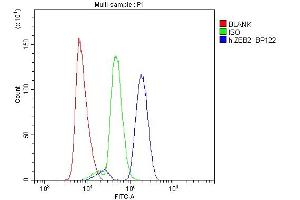 Flow Cytometry analysis of U937 cells using anti-ZEB2 antibody (ABIN3042325).