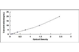 Typical standard curve (CAPN1 ELISA 试剂盒)