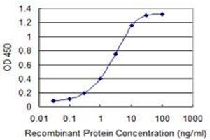 Detection limit for recombinant GST tagged ARL2BP is 0. (ARL2BP 抗体  (AA 1-163))