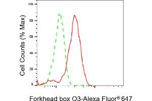Flow cytometric analysis of Forkhead box O3 expression in HepG2 cells using Forkhead box O3 antibody (ABIN7798646), 1:2,000). (Recombinant FOXO3 抗体)