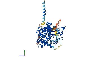 Protein Structure (PS) image for Carbohydrate (Chondroitin 4) Sulfotransferase 12 (CHST12) (AA 1-414) protein (His tag) (ABIN7553289)