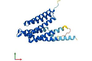Protein Structure (PS) image for CDP-Diacylglycerol--Inositol 3-Phosphatidyltransferase (CDIPT) (AA 1-213) protein (His tag) (ABIN7559864)