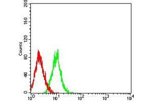 Flow cytometric analysis of HL-60 cells using TNFRSF11A mouse mAb (green) and negative control (red). (TNFRSF11A 抗体  (AA 30-212))