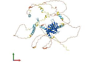 AlphaFold protein structure predicition of Human Recombinant NUMB Protein, UniprotID P49757 (NUMB Protein (AA 1-651) (His tag))