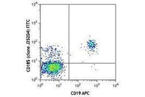 Flow Cytometry (FACS) image for anti-Chemokine (C-X-C Motif) Receptor 5 (CXCR5) antibody (FITC) (ABIN2661366) (CXCR5 抗体  (FITC))