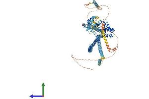 AlphaFold protein structure predicition of Mouse Recombinant Evi5 Protein, UniprotID P97366 (EVI5 Protein (AA 1-809) (His tag))