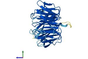 Protein Structure (PS) image for Guanine Nucleotide Binding Protein (G Protein), beta Polypeptide 2-Like 1 (GNB2L1) (AA 1-317) protein (His tag) (ABIN7555108)