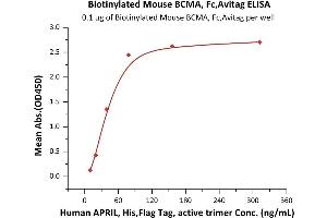 Immobilized Biotinylated Mouse BCMA, Fc,Avitag (ABIN5674610,ABIN6253664) at 1 μg/mL (100 μL/well) on Recombinant Streptavidin  precoated (0.