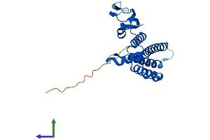 AlphaFold protein structure predicition of Mouse Recombinant Gins4 Protein, UniprotID Q99LZ3