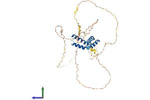 AlphaFold protein structure predicition of Mouse Recombinant Ciart Protein, UniprotID Q3TQ03 (CIART (AA 1-375) protein (His tag))
