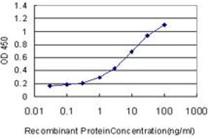 Detection limit for recombinant GST tagged GSDML is approximately 0. (Gasdermin B 抗体  (AA 1-411))