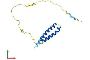 Protein Structure (PS) image for Cyclin-Dependent Kinase 2 Associated Protein 2 (CDK2AP2) (AA 1-126) protein (His tag) (ABIN7553227)