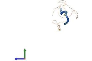 Protein Structure (PS) image for Keratin 4 (KRT4) (AA 1-525) protein (His tag) (ABIN7562755)