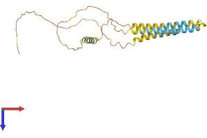 ARL6IP6 Protein (AA 1-226) (His tag)