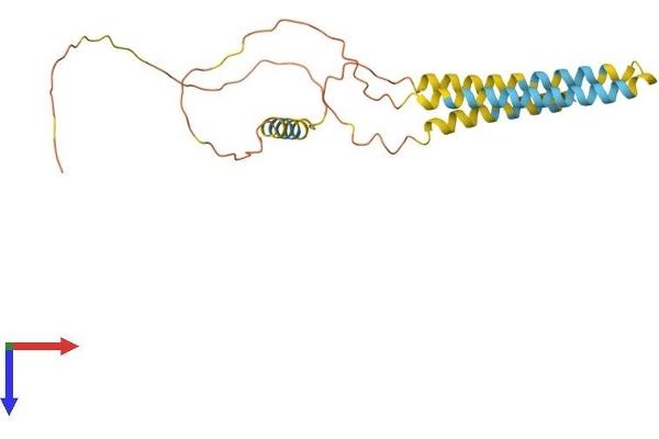 ARL6IP6 Protein (AA 1-226) (His tag)