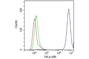 Flow cytometry testing of human HeLa cells with CD147 antibody at 1ug/10^6 cells (cells blocked with goat sera) (CD147 抗体)