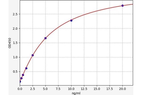 Cnpase ELISA 试剂盒