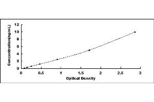 Twist Homolog 1 (Drosophila) (TWIST1) ELISA Kit