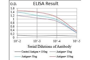 Black line: Control Antigen (100 ng), Purple line: Antigen(10 ng), Blue line: Antigen (50 ng), Red line: Antigen (100 ng), (HPRT1 抗体  (AA 1-218))