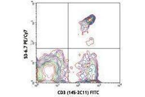 Flow Cytometry (FACS) image for anti-CD8a Molecule (CD8A) antibody (PE-Cy7) (ABIN2659625) (CD8 alpha 抗体  (PE-Cy7))