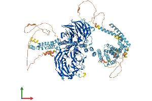 Protein Structure (PS) image for Gem (Nuclear Organelle) Associated Protein 5 (GEMIN5) (AA 1-1502) protein (His tag) (ABIN7564451)