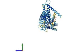 AlphaFold protein structure predicition of Human Recombinant LMBR1 Protein, UniprotID Q8WVP7