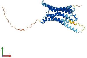 Protein Structure (PS) image for Melanocortin 3 Receptor (MC3R) (AA 1-323) protein (His tag) (ABIN7563139)