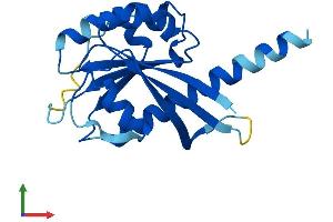 Protein Structure (PS) image for RAB, Member RAS Oncogene Family-Like 5 (RABL5) (AA 1-185) protein (His tag) (ABIN7548446)