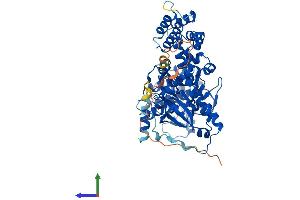 AlphaFold protein structure predicition of Human Recombinant GRK4 Protein, UniprotID P32298