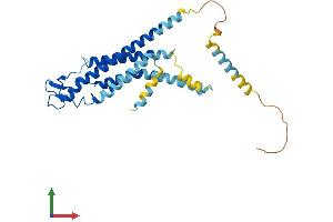 Protein Structure (PS) image for Gap Junction Protein, beta 1, 32kDa (GJB1) (AA 1-283) protein (His tag) (ABIN7563041)