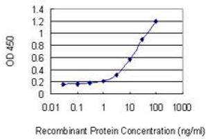 Detection limit for recombinant GST tagged RNF126 is 0. (RNF126 抗体  (AA 1-326))