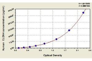 Typical standard curve (Claudin 4 ELISA 试剂盒)