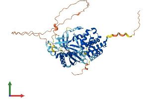 Protein Structure (PS) image for Transmembrane Protein 102 (TMEM102) (AA 1-508) protein (His tag) (ABIN7544383)