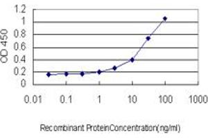 ELISA image for anti-serum/glucocorticoid Regulated Kinase 1 (SGK1) (AA 1-432) antibody (ABIN598922) (SGK1 抗体  (AA 1-432))