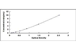 Typical standard curve (UBE2K ELISA 试剂盒)