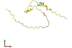 Protein Structure (PS) image for Family with Sequence Similarity 229, Member B (FAM229B) (AA 1-80) protein (Fc Tag) (ABIN7559294)