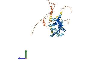 AlphaFold protein structure predicition of Human Recombinant GPR142 Protein, UniprotID Q7Z601