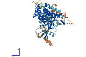 AlphaFold protein structure predicition of Mouse Recombinant Gsdmc4 Protein, UniprotID Q3TR54