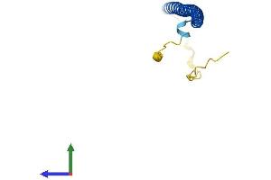 AlphaFold protein structure predicition of Human Recombinant BATF3 Protein, UniprotID Q9NR55