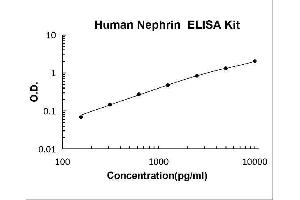 Typical Standard Curve