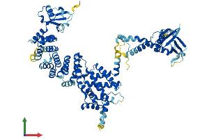 Protein Structure (PS) image for Engulfment and Cell Motility 1 (ELMO1) (AA 1-727) protein (His tag) (ABIN7553764)