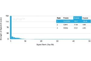 Analysis of Protein Array containing >19,000 full-length human proteins using TACSTD2 Mouse Monoclonal Antibody (TACSTD2/2151) Z- and S- Score: The Z-score represents the strength of a signal that a monoclonal antibody (MAb) (in combination with a fluorescently-tagged anti-IgG secondary antibody) produces when binding to a particular protein on the HuProtTM array. (TACSTD2 抗体  (AA 31-274))