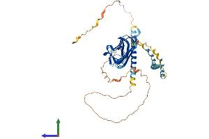 Protein Structure (PS) image for Ectodysplasin A (EDA) (AA 1-391) protein (His tag) (ABIN7547287)