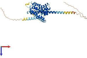 AlphaFold protein structure predicition of Human Recombinant SLC10A6 Protein, UniprotID Q3KNW5