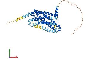 AlphaFold protein structure predicition of Human Recombinant CXCR6 Protein, UniprotID O00574