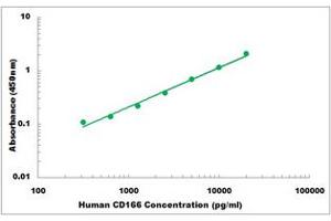 Representative Standard Curve (CD166 ELISA 试剂盒)