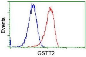 Flow cytometric Analysis of Hela cells, using anti-GSTT2 antibody (ABIN2453096), (Red), compared to a nonspecific negative control antibody (TA50011), (Blue). (GSTT2 抗体)