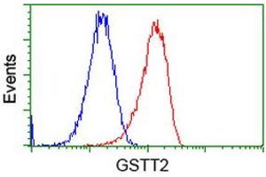 Flow cytometric Analysis of Hela cells, using anti-GSTT2 antibody (ABIN2453096), (Red), compared to a nonspecific negative control antibody (TA50011), (Blue). (GSTT2 抗体)