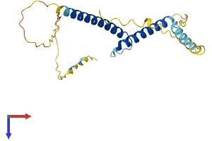 BHLHA15 Protein (AA 1-197) (His tag)