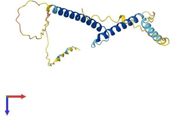 BHLHA15 Protein (AA 1-197) (His tag)